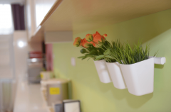 <strong>设保养间、糊口照护间及阿尔茨海默照护</strong>